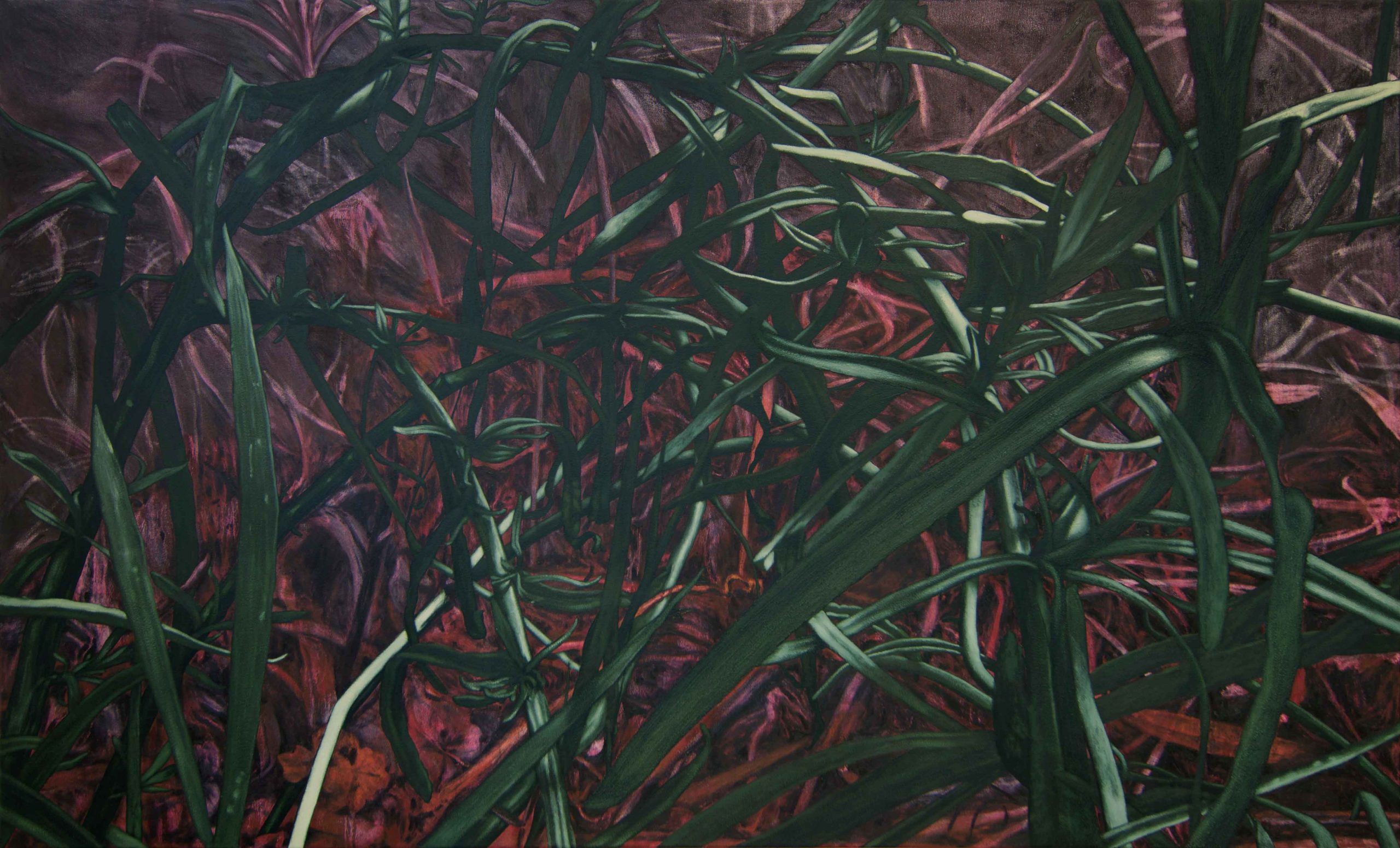 <p><strong>﻿Ragwort V </strong><br /> Oil on canvas - 150 x 90 cm </p>